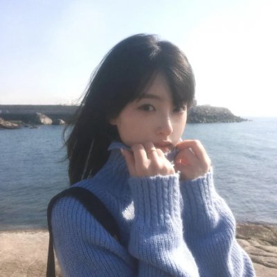 灰天鹅绒上的四只苍蝇