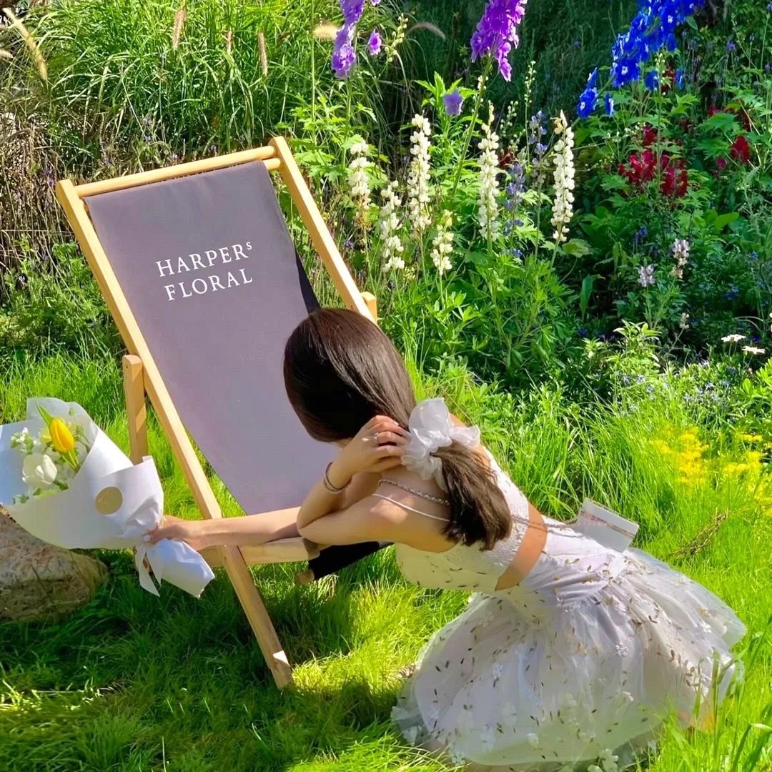 重生后我步步为营